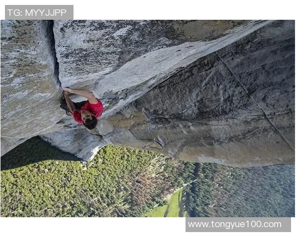 攀岩竞技新视角：深入探讨上海攀岩队的战术与训练策略