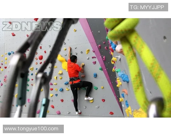 杭州攀岩队：个人能力提升与团队协作的完美结合探讨